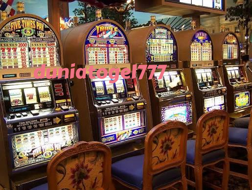 duniatogel777 Live Dealer Tables at Your Fingertips